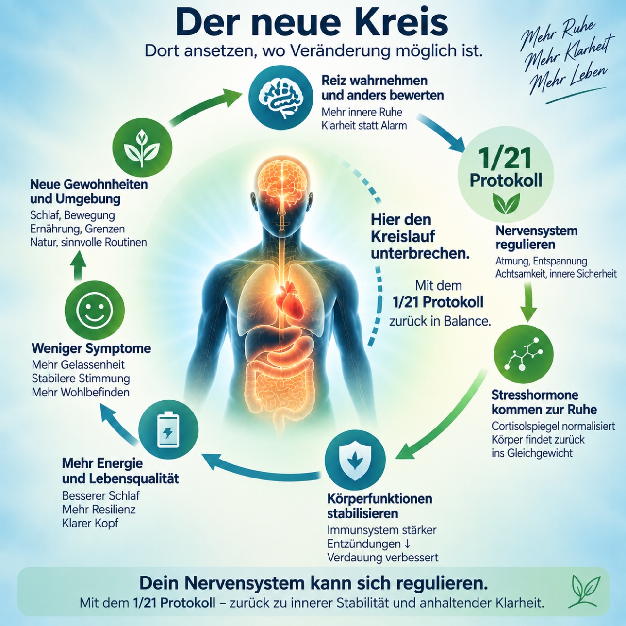 Infografik: Der Stress-Kreislauf im Körper – und der neue Kreis der Regulation, wo Veränderung möglich ist